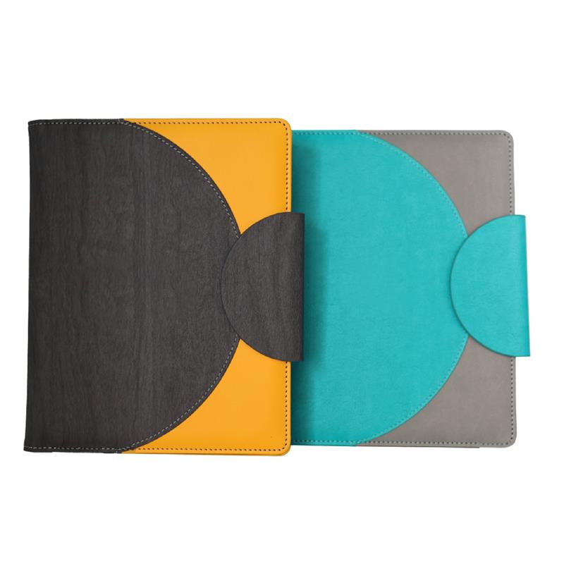 Standard Customization (Diary)