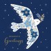 Christmas Greeting Cards